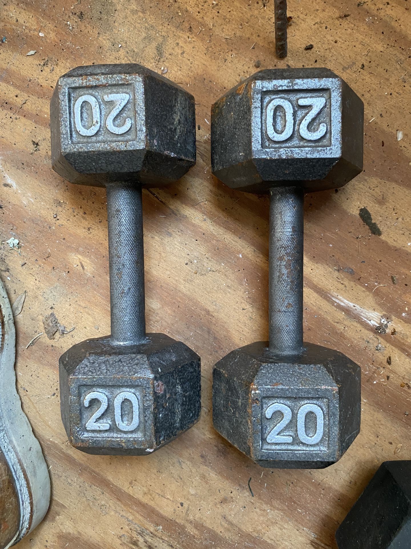 20lb Dumbbells 