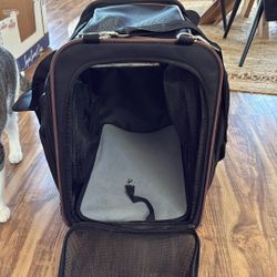 Expandable Cat Travel Carrier with Tunnel & Litter Box – Up to 20 lbs
