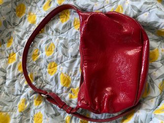 Zara bag