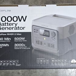 EcoFlow 1000W Battery Generator