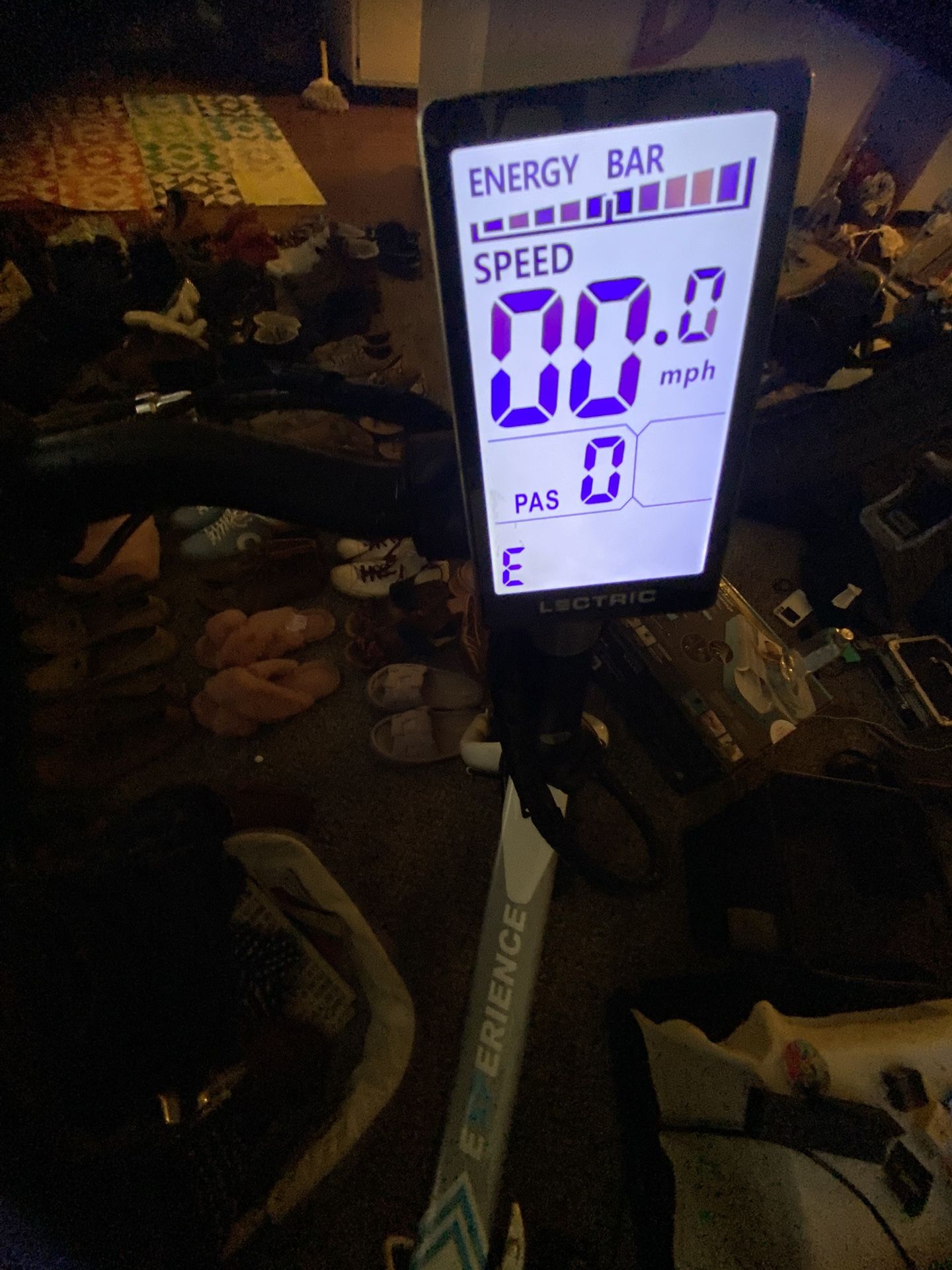 Lectric XP 3.0