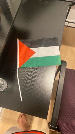 Min Palestine flag