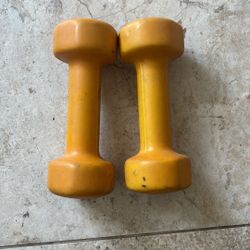 5 Lbs Weight 