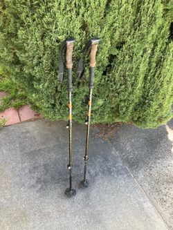 Pair trekking poles