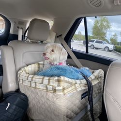 Pet safe elevated dog car seat