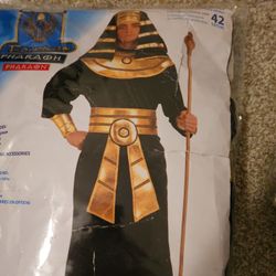 Egyptian Pharaoh Costume