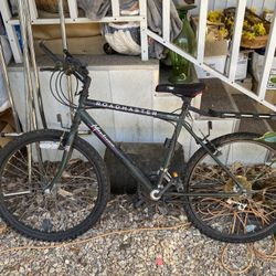 Road Master bike  