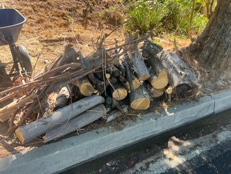 Free Cut Firewood Logs and Branches