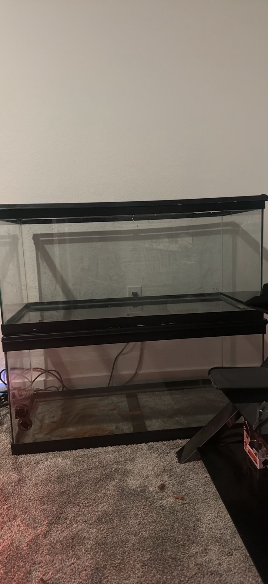 40 Gallon Enclosure