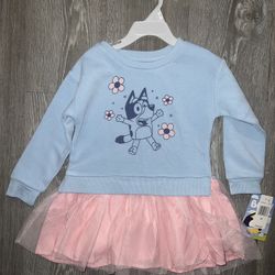 Disney bluey dress sizes 3t and 4t