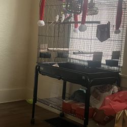 Large bird cage 