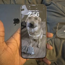 iPhone 16 Pro max With 256gb Storage ( Factory unlocked ) 
