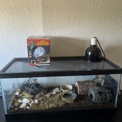 2 Leopard Geckos with enclosure uvb light and heating pad