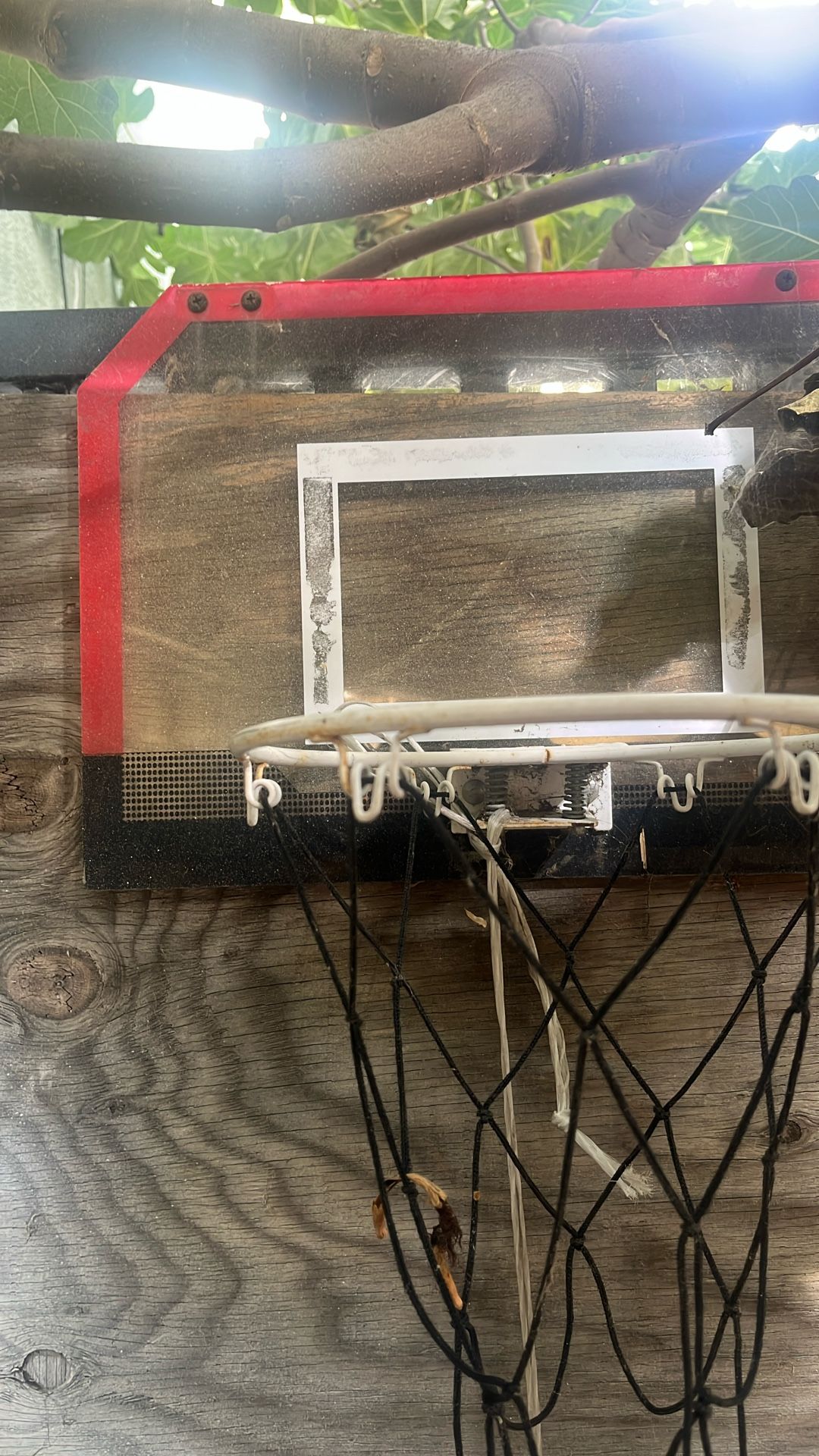 Mini Basketball Hoop