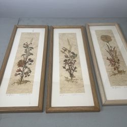 Vintage Art Framed Pressed Dried Flowers Handmade 18.5x7 Lot Of 3.  Used in good condition. 