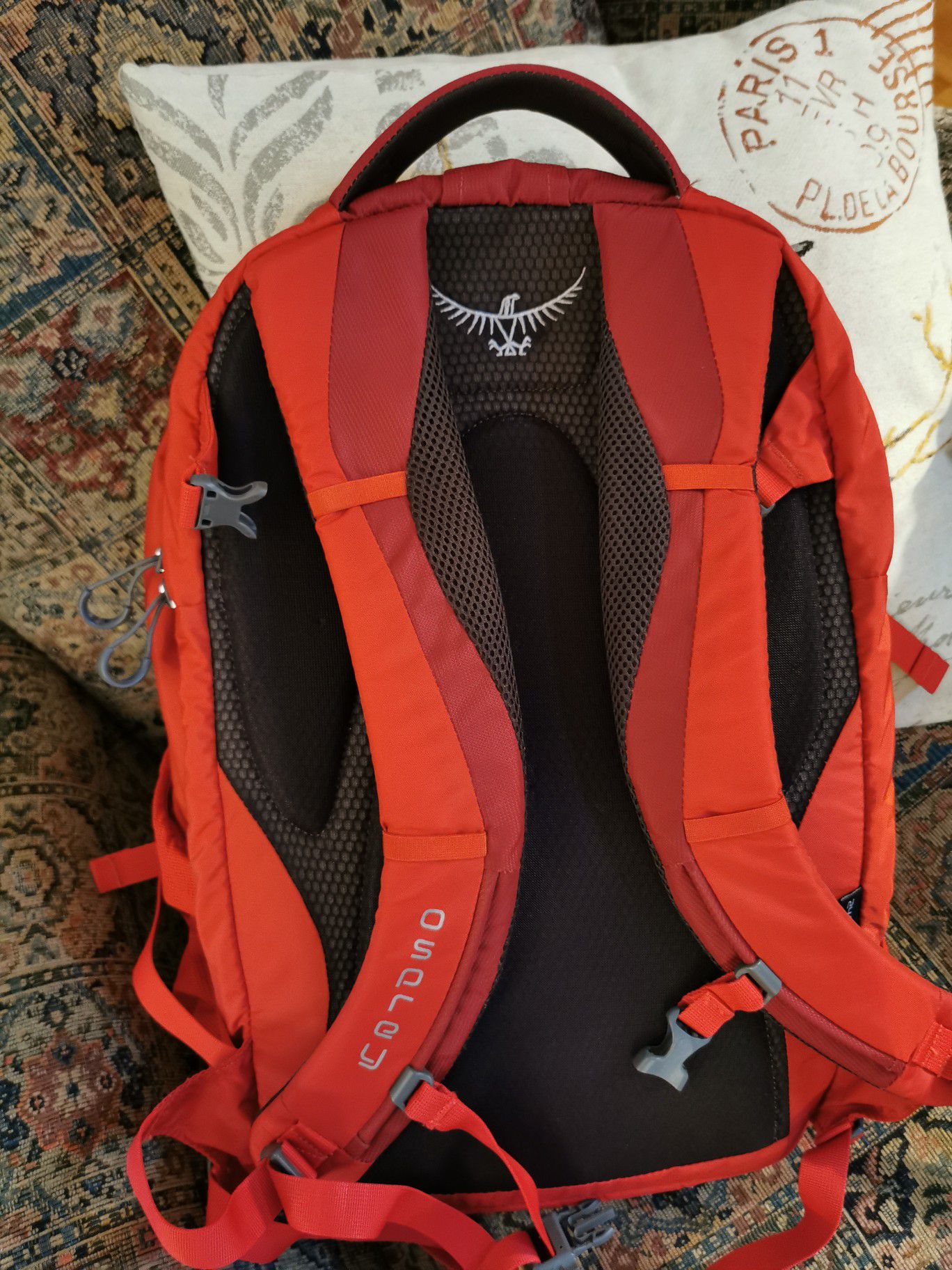 Osprey Comet Backpack. Perfect condition. Like new. Clean. Comes with lifetime warranty from Osprey.