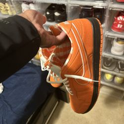 orange lobster size 13 