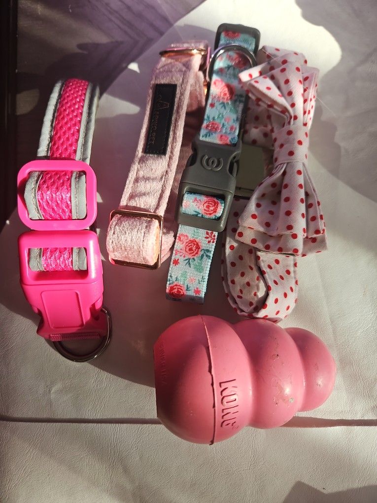 Dog Collar And Mini Kong