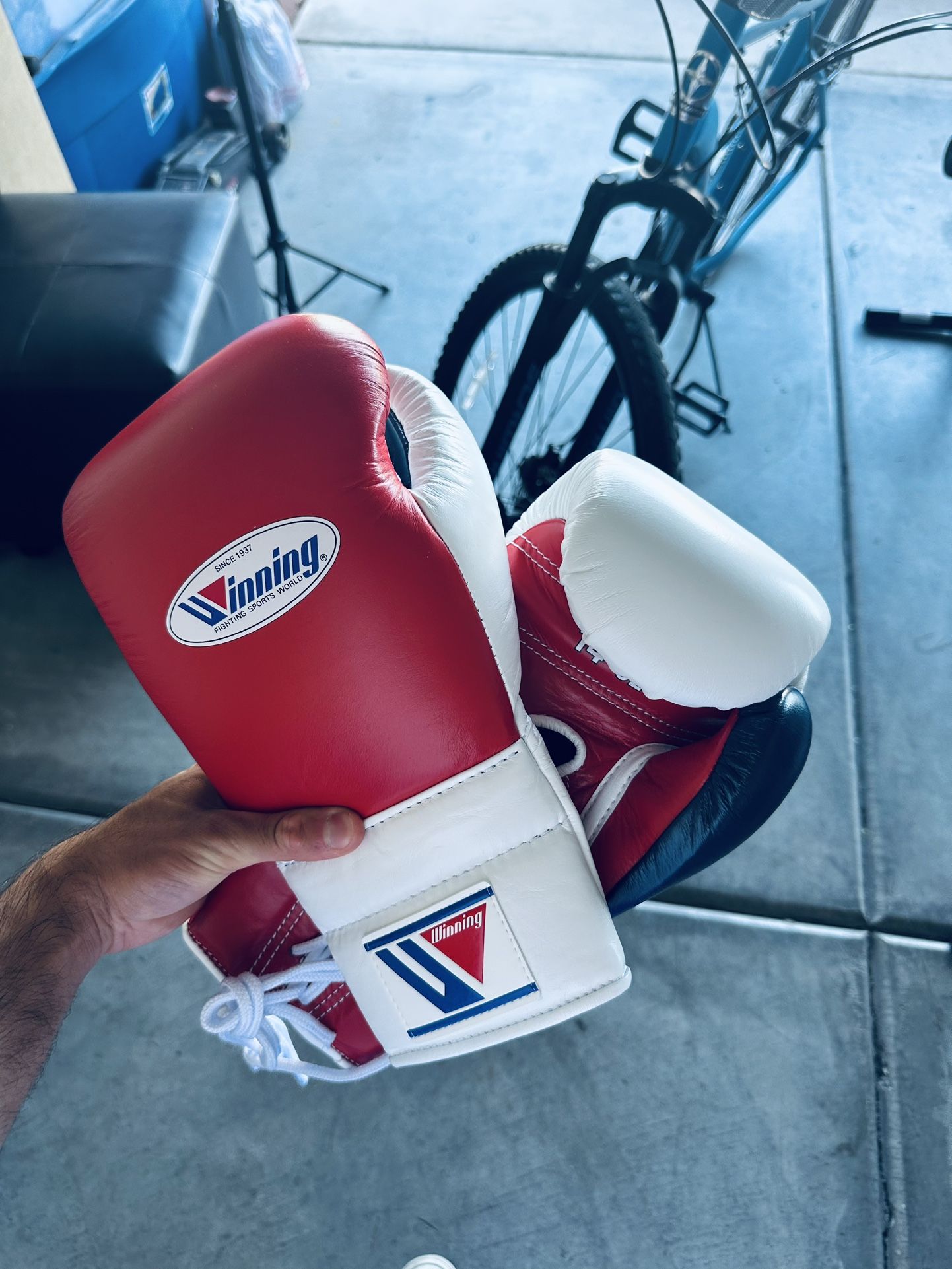 Winning Boxing Gloves 14 Oz
