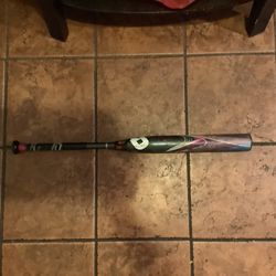 Girl Softball Bat