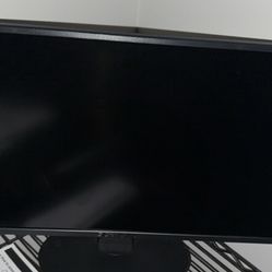 Sceptre 24” Monitor