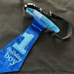 Dog 1st Birthday Collar