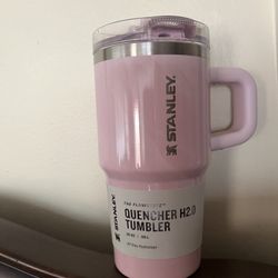 STANLEY CUP 20oz 
