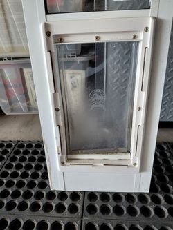 Dog Door