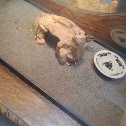 lepoard gecko & cage