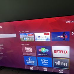 Roku Tv