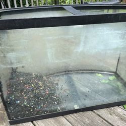 Fish Tank 