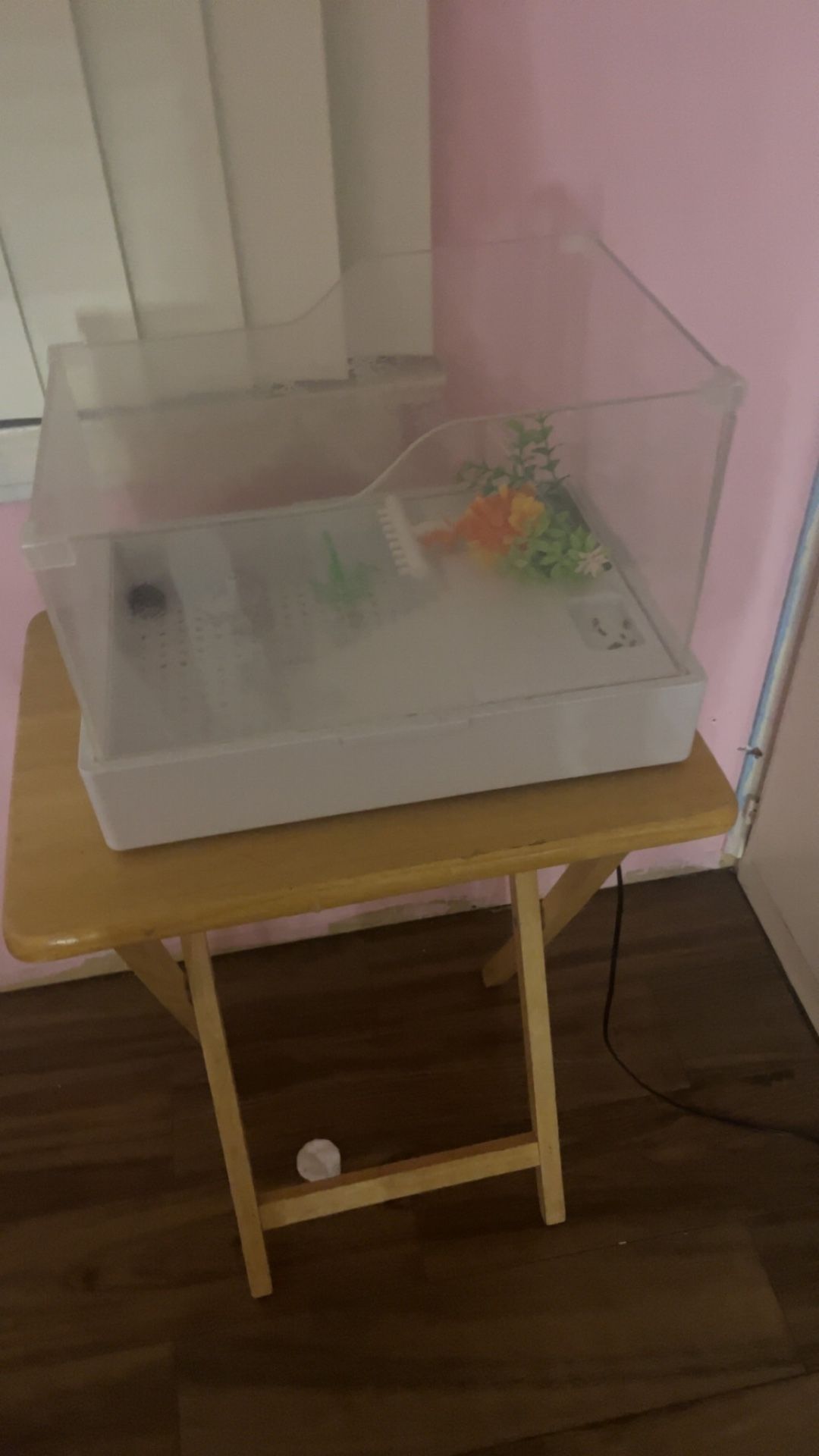 Turtle Tank