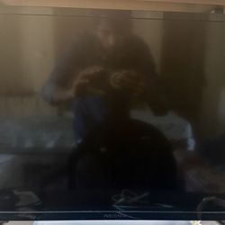 32in Insignia Smart Tv