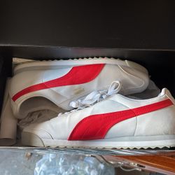 Puma Size 13