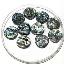 Lot Of 10 21mm Abalone Beads