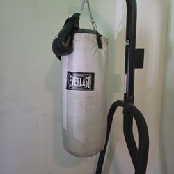 Everlast Stand and Punching Bag