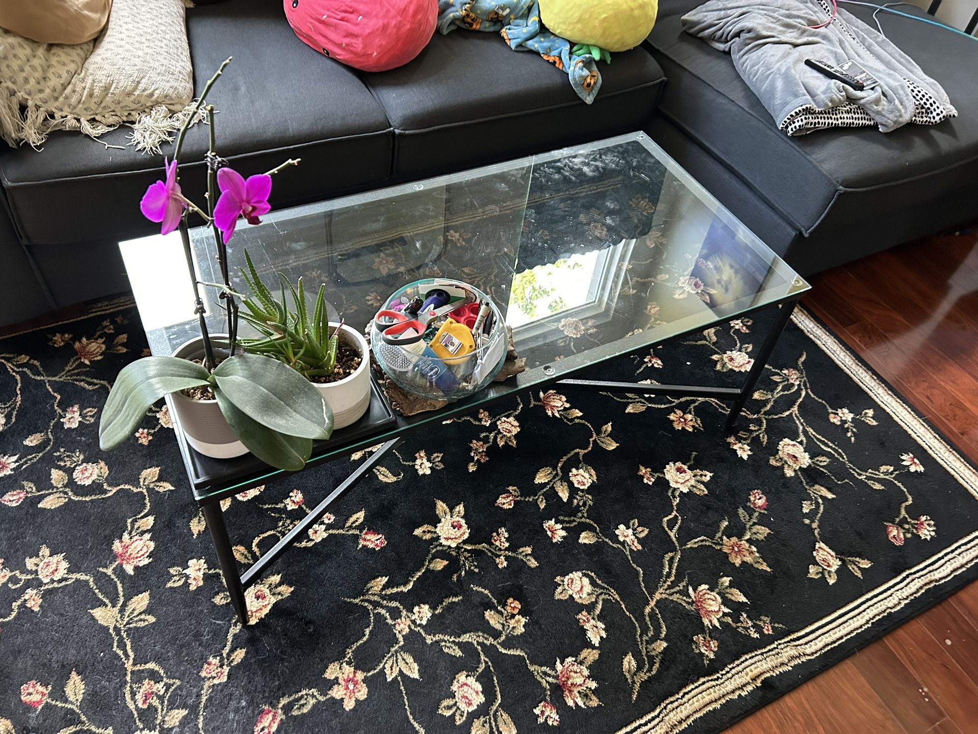 Glass/Metal Coffee Table
