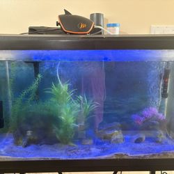 29 Gal Fish Tank With Decor and cleaning Tools. 