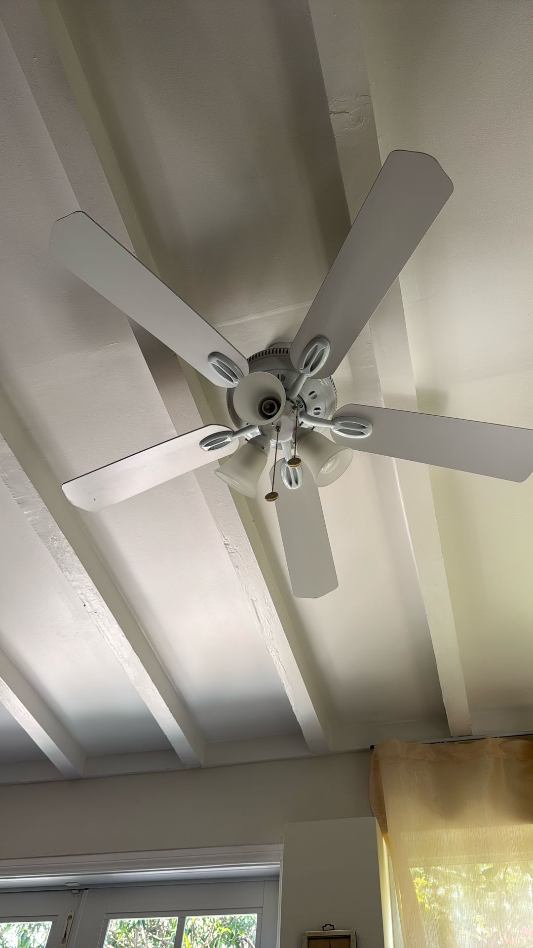 Ceiling Fan
