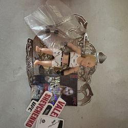 ufc octogon fighters