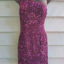Lavetir Purple Velvet/ Sequin Dress
