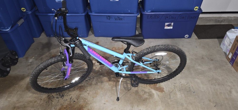 Mountain Bike