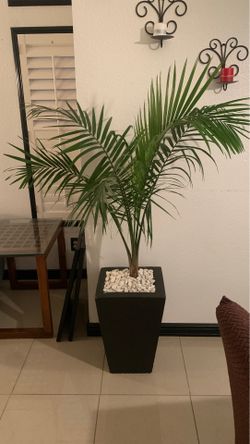 Trees
