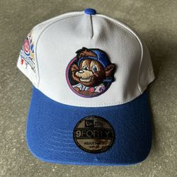 Brand new Chicago Cubs hat