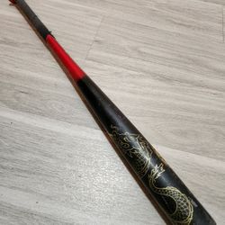 Easton Dragon Baseball Bat