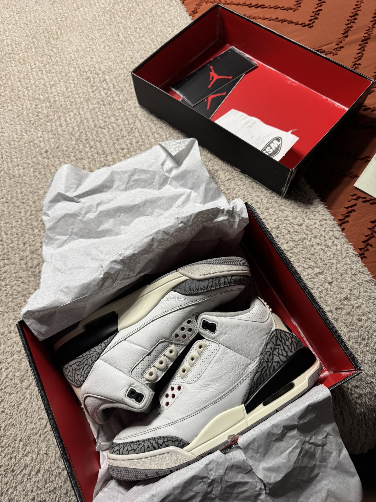 Jordan 3 9.5 Re Imagined