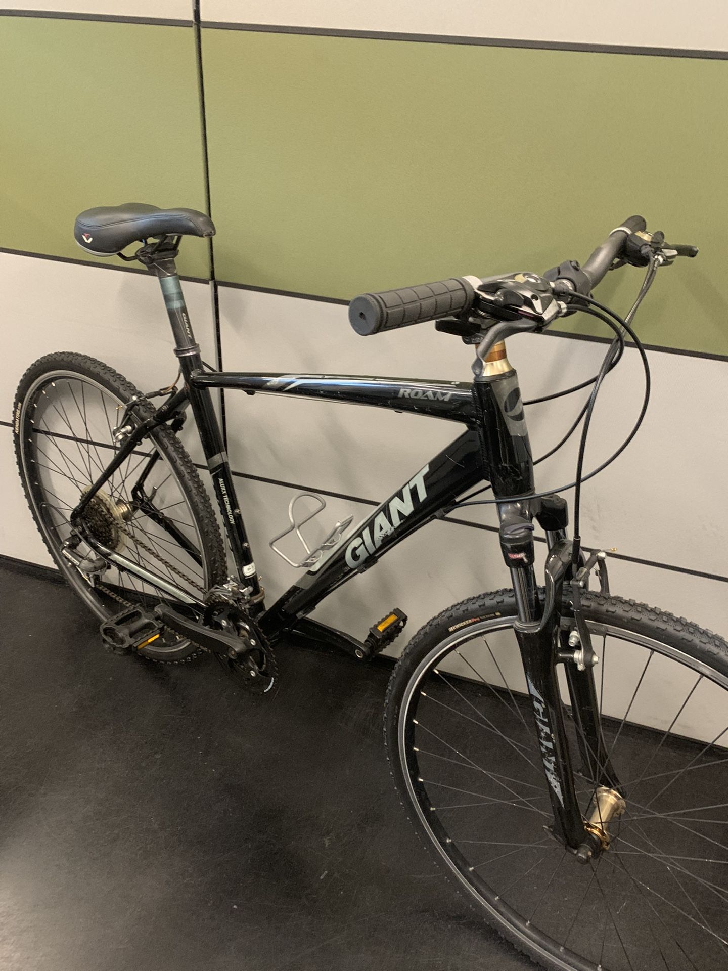 Giant roam 2025 3 2015