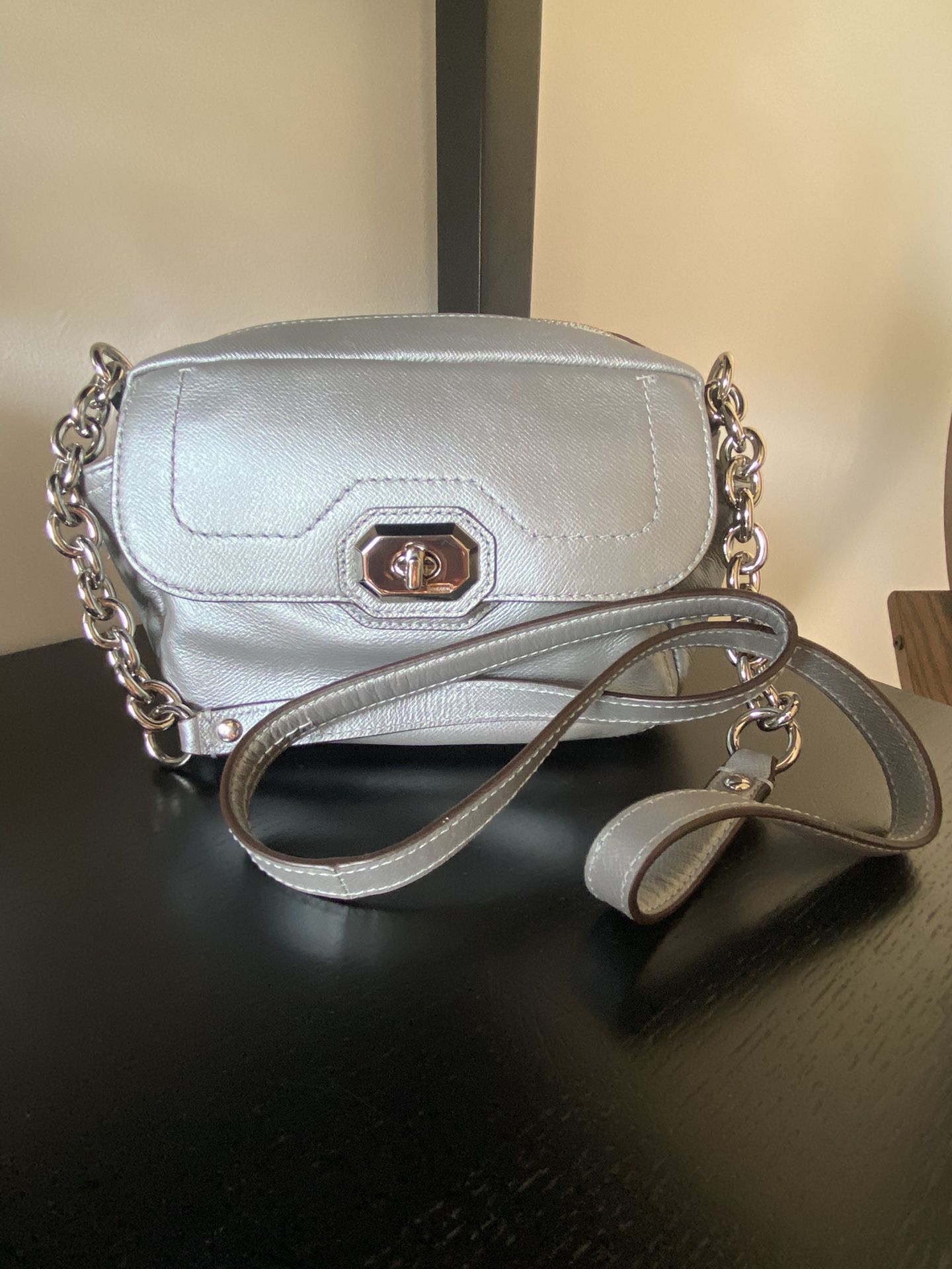 Coach Campbell Platinum Leather Camera Bag (New with Tags)