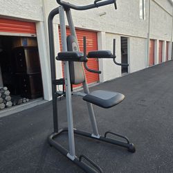 Gold's Gym Platinum Multi-Workout Pull-up Station