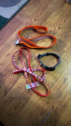 Dog Leashes and Collar Bundle